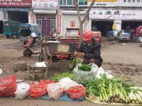 Shopping In Rural China