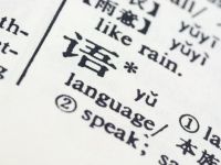 Language Written In Chinese